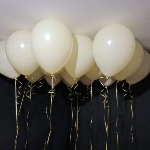 16 Inch Balloons