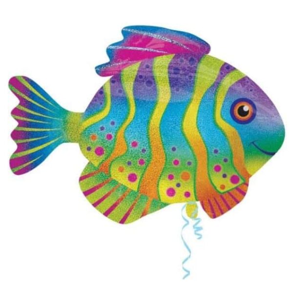 Colourful Fish