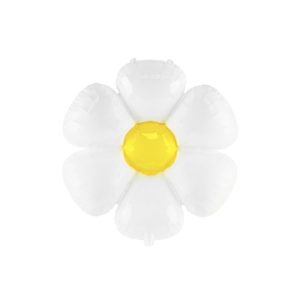 White Daisy with Yellow