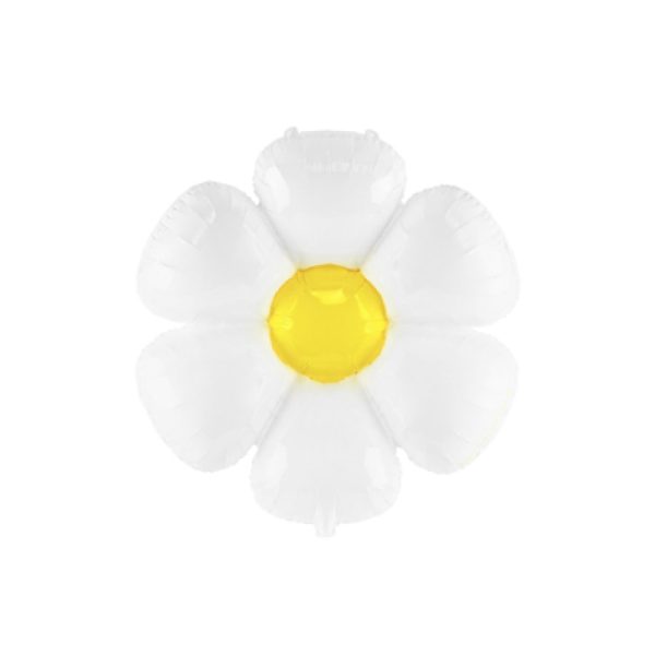 White Daisy with Yellow